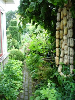 Afbeelding invoegen